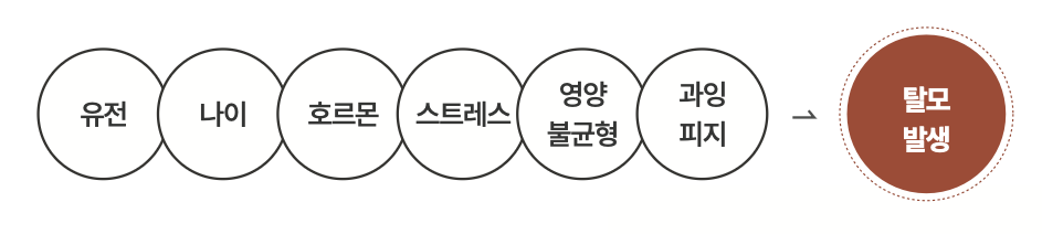 헤드스파k-탈모원인-6가지.png