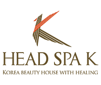 headspak_logo.png